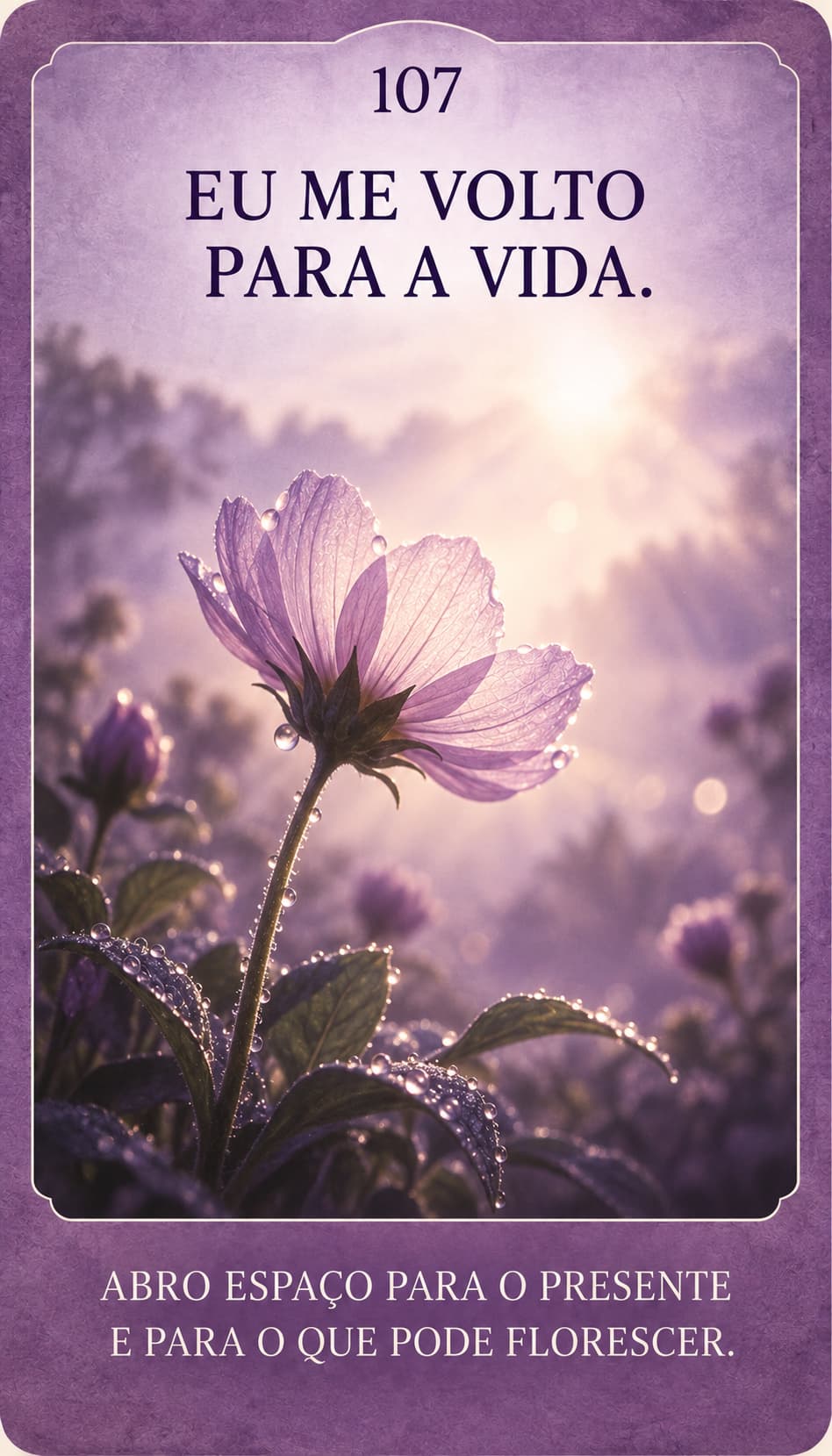 Carta 107, Eu me volto para a vida: uma flor com gotas de orvalho se abre em direção à luz, em tons de lilás.
